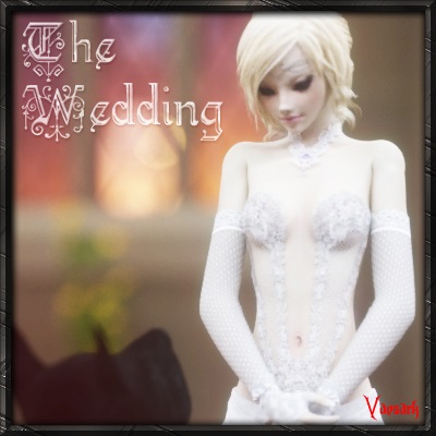 Vaesark - CGS 102 - The Wedding