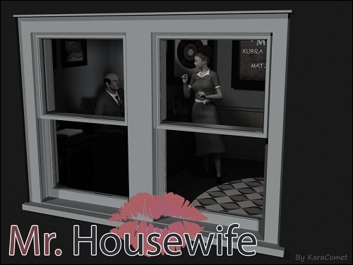 Kara Comet - Mr. Housewife - Part 1