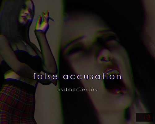 Evilmercenary - False Accusation