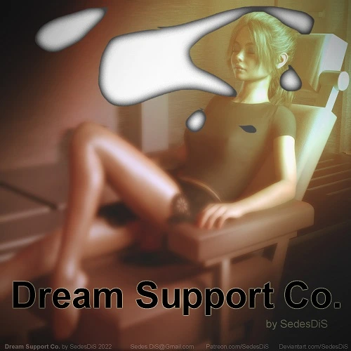 Sedes D&S - Dream Support Co
