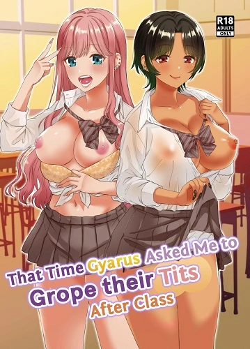 That Time Gyarus Asked Me to Grope their Tits After Class (English)