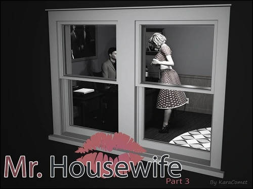 Kara Comet - Mr. Housewife 1-3