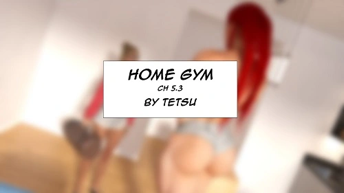 TetsuGTS - Home Gym 1.1-5.3